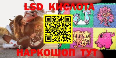 прущие грибы Краснодар