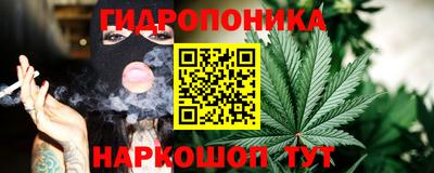 шишки Краснокаменск