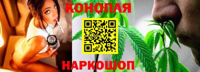 прущие грибы Краснодар