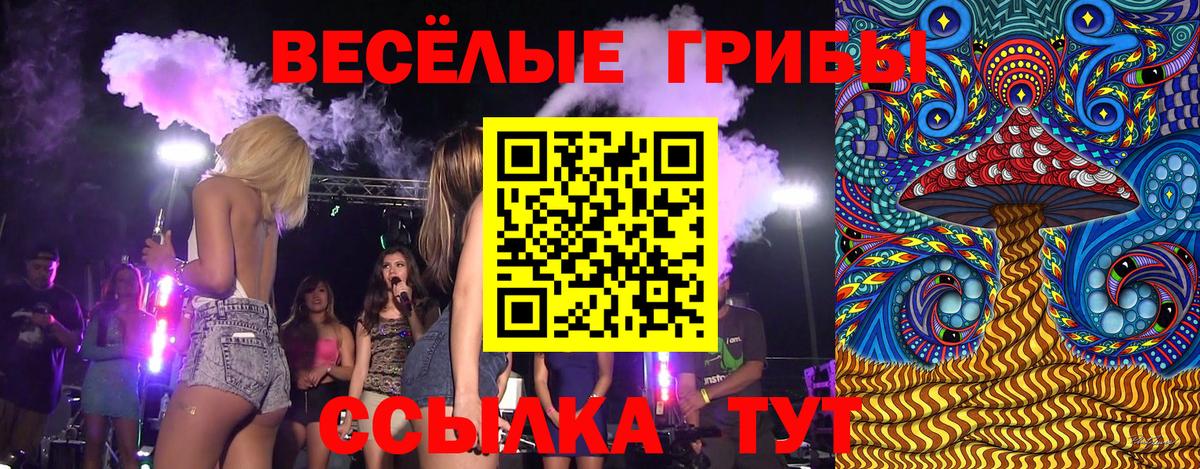 Галлюциногенные грибы Psilocybe Кинель